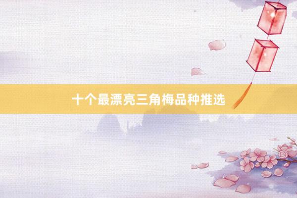 十个最漂亮三角梅品种推选