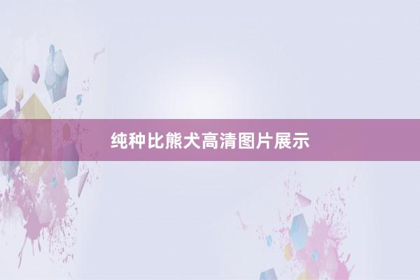 纯种比熊犬高清图片展示
