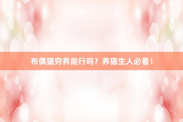 布偶猫穷养能行吗？养猫生人必看！
