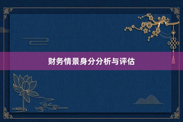 财务情景身分分析与评估
